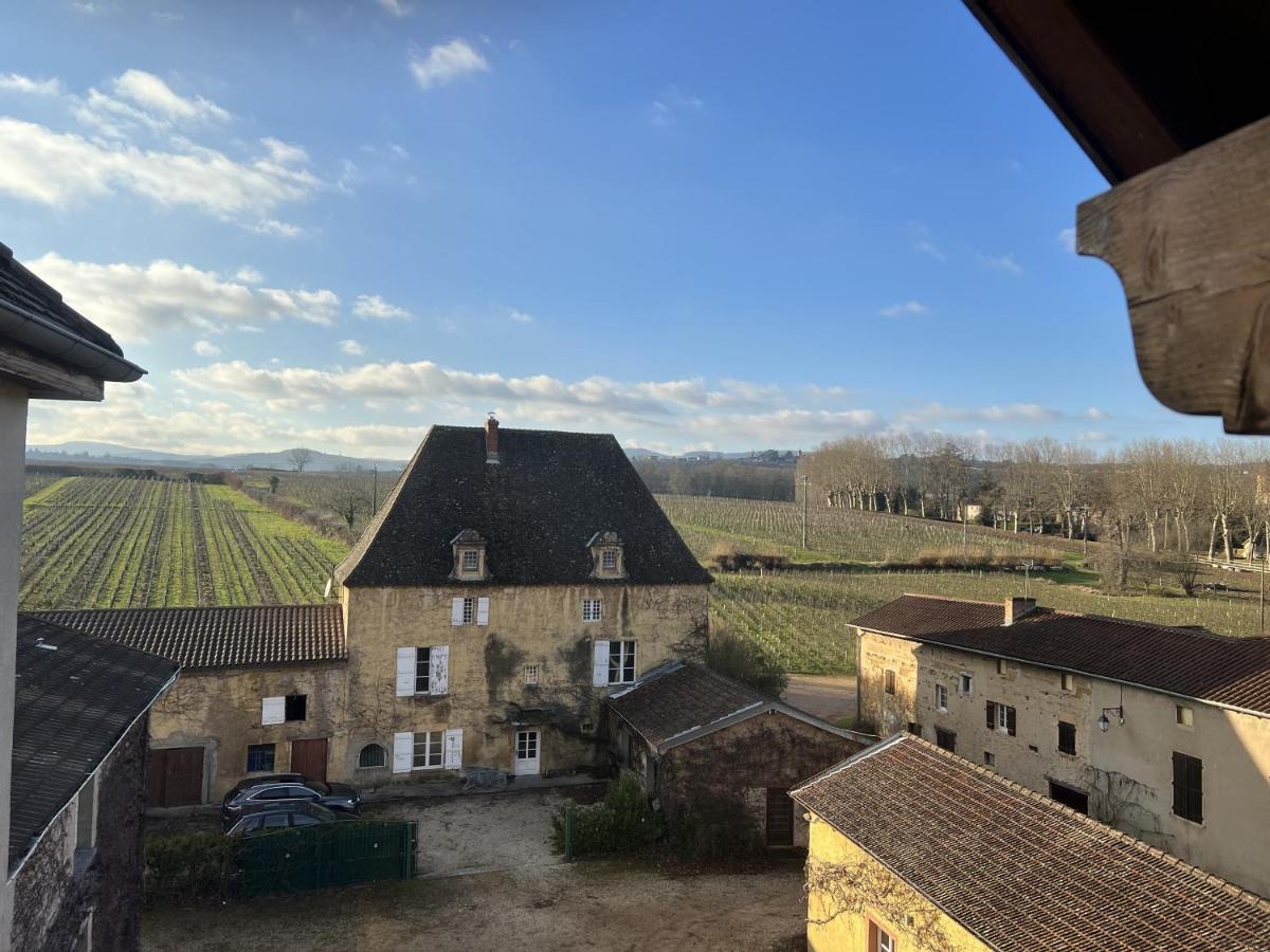 Chateau De La Barge Chaintré Dış mekan fotoğraf